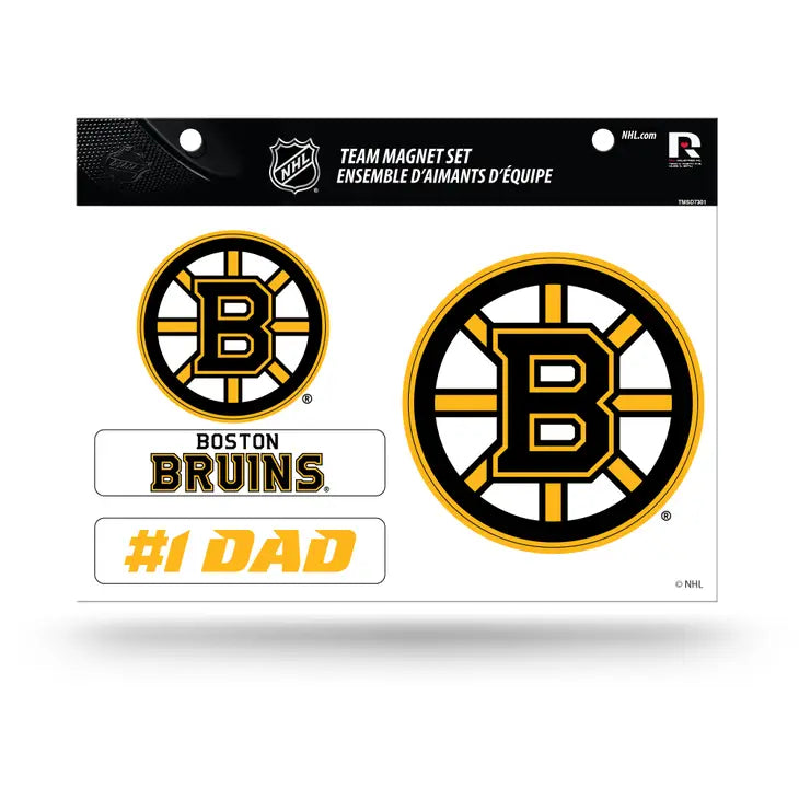 NHL Boston Bruins Team Magnet Set