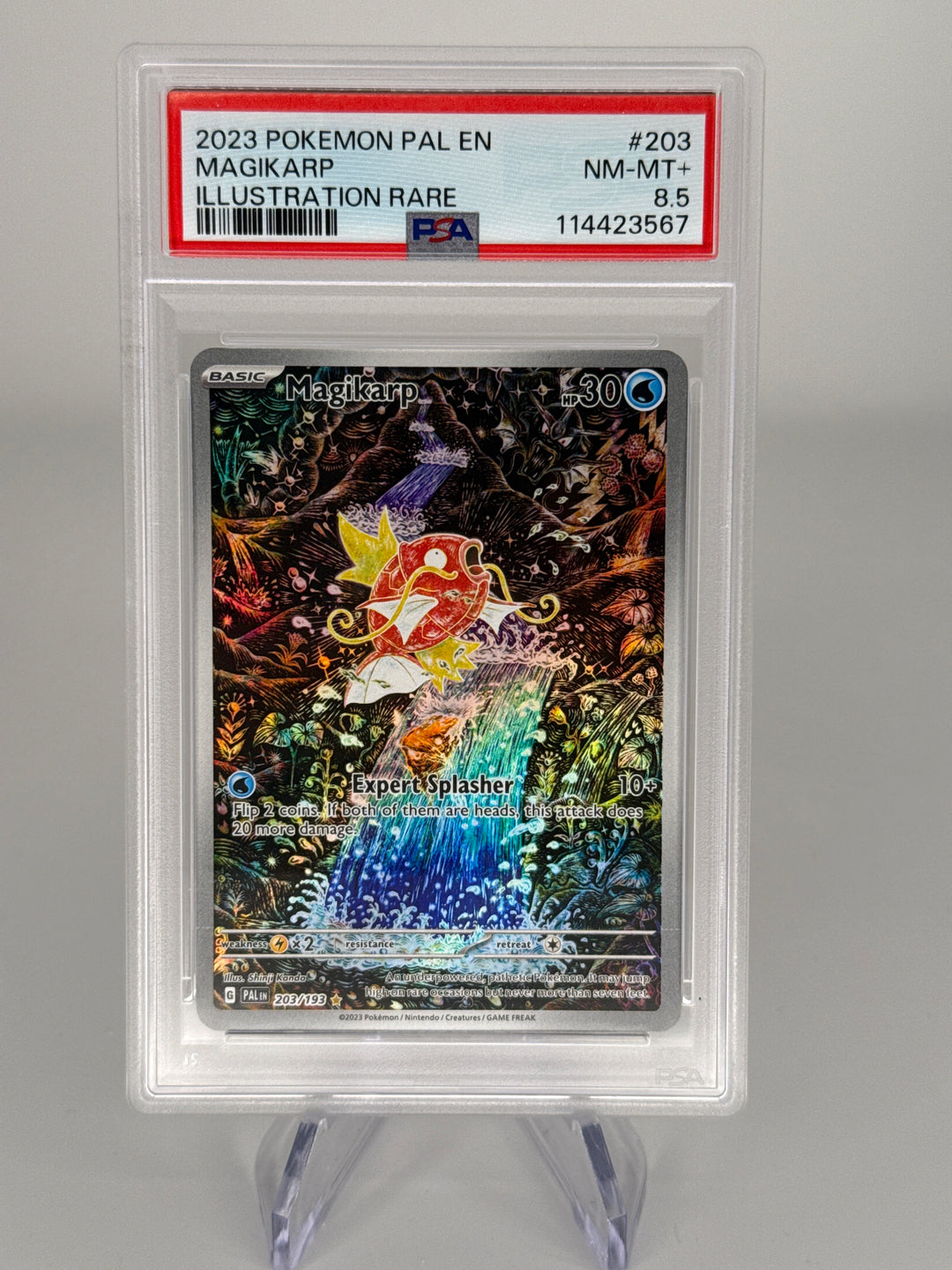 Pokemon TCG 2023 Magikarp Paldea Evolved Illustration Rare, 203/193, PSA 8.5