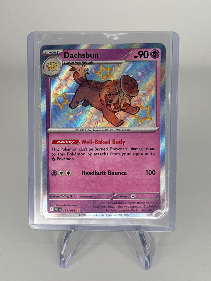 Pokemon TCG 2024 Dachsbun Shining Holo Paldean Fates Rare, 161/091