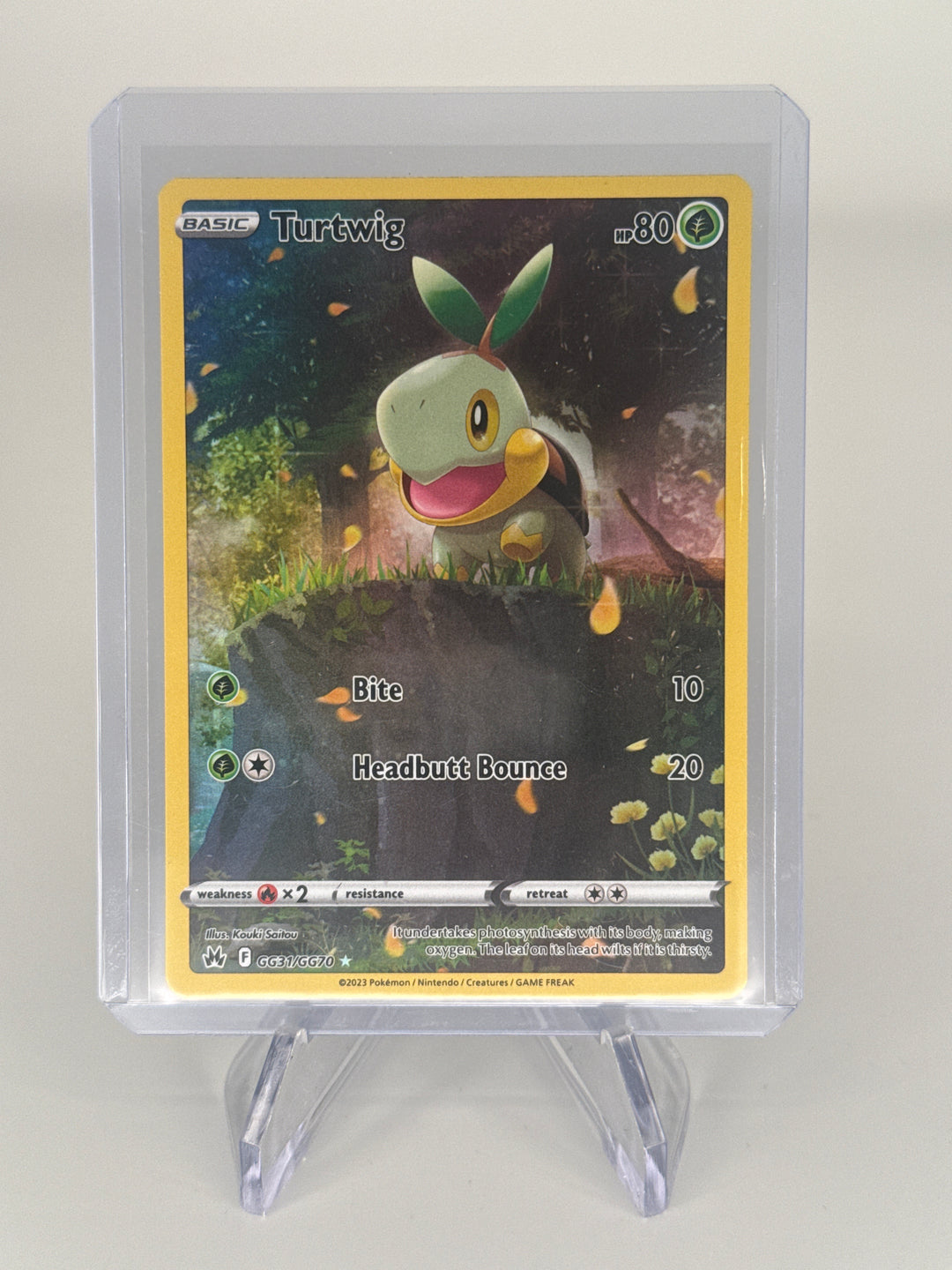 Pokemon TCG 2023 Turtwig Crown Zenith Galarian Gallery Holo, GG31/GG70
