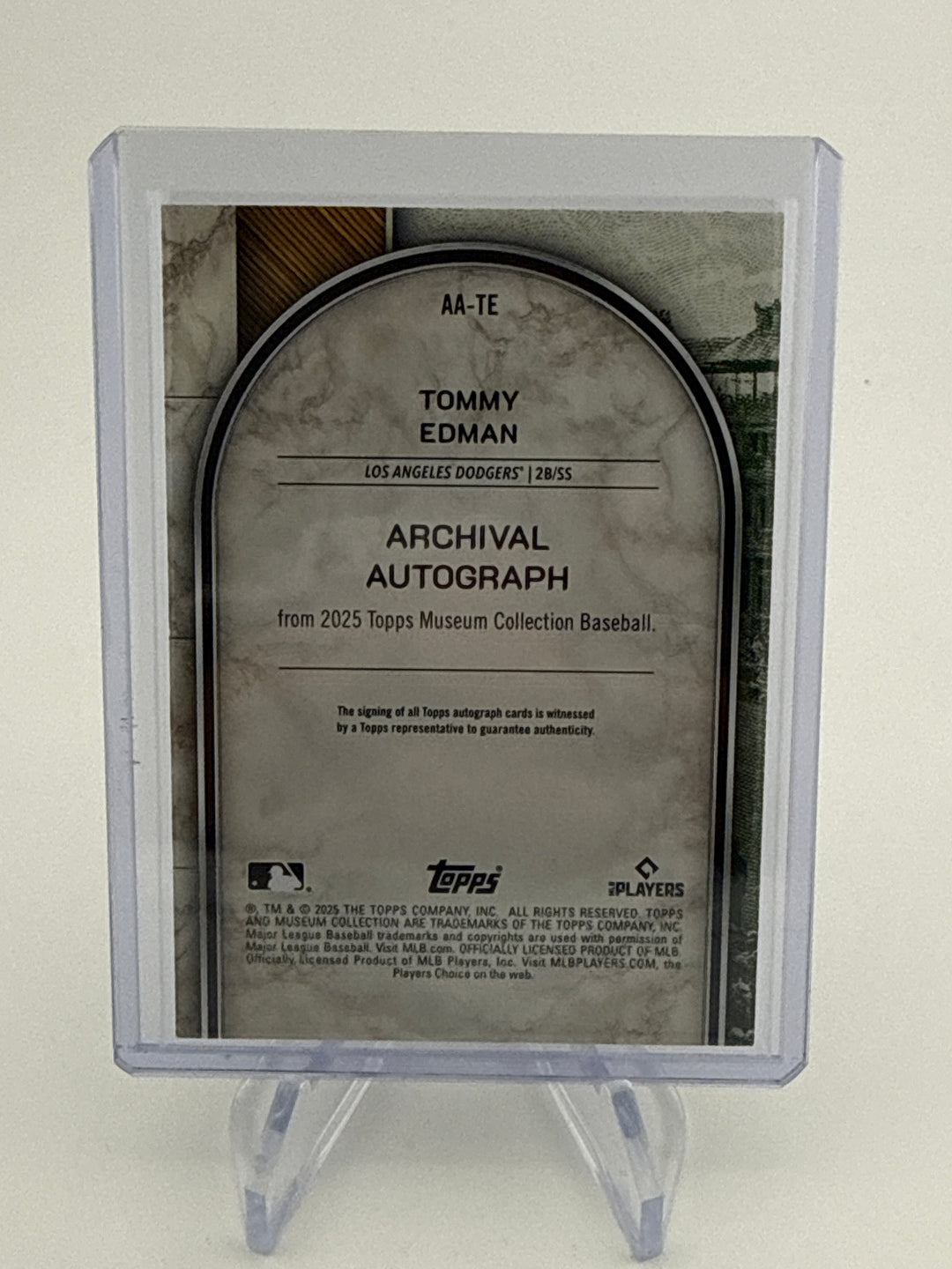 Tommy Edman 2025 Topps Museum Collection Auto, 034/199