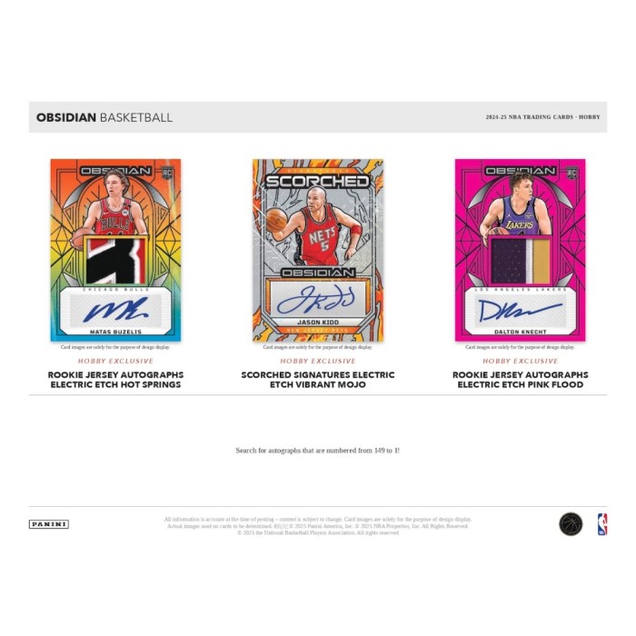 2024-2025 Panini Obsidian Basketball Hobby Box