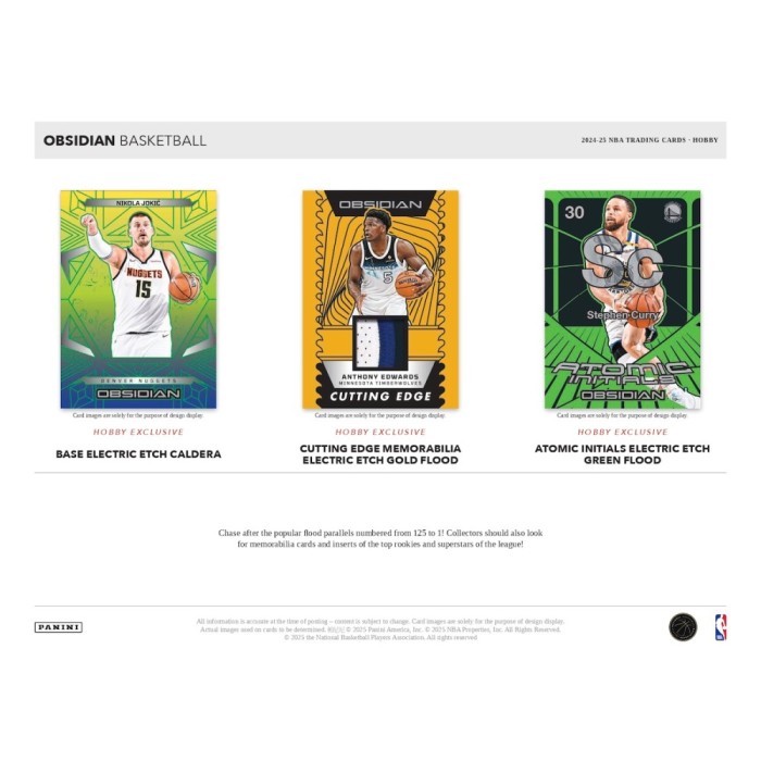 2024-2025 Panini Obsidian Basketball Hobby Box