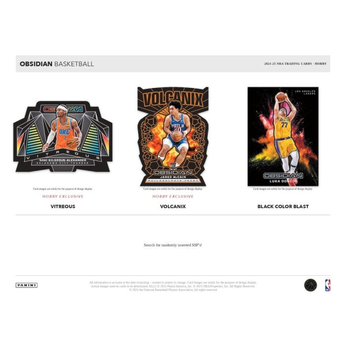 2024-2025 Panini Obsidian Basketball Hobby Box