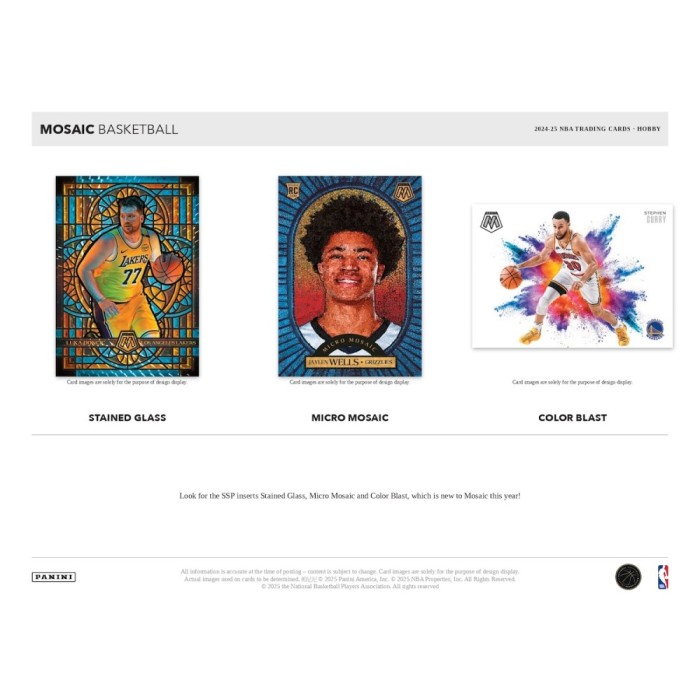 2024-2025 Panini Mosaic Basketball Hobby Box