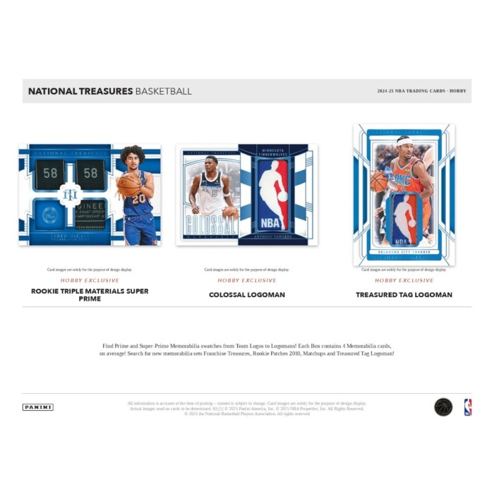 2024-2025 Panini National Treasures Basketball Hobby Box
