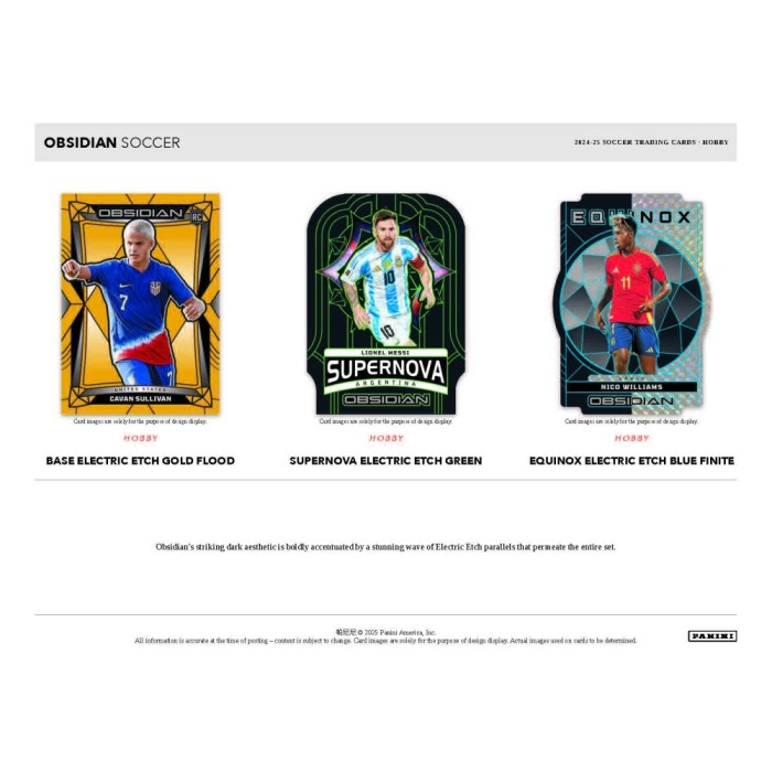 2024-2025 Panini Obsidian Soccer Hobby Box
