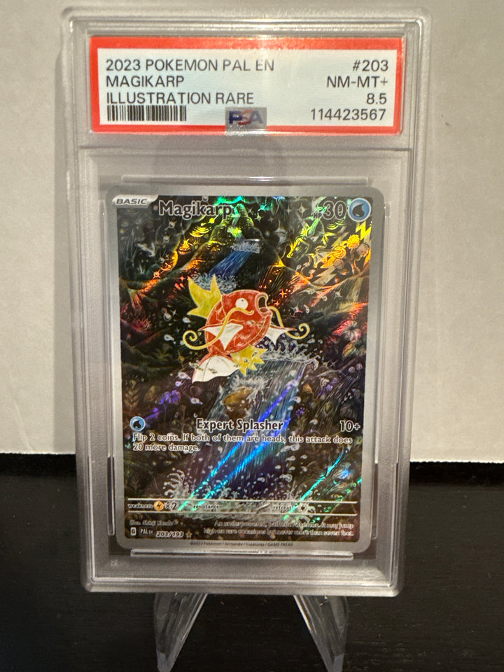 Pokemon TCG 2023 Magikarp Paldea Evolved Illustration Rare, 203/193, PSA 8.5