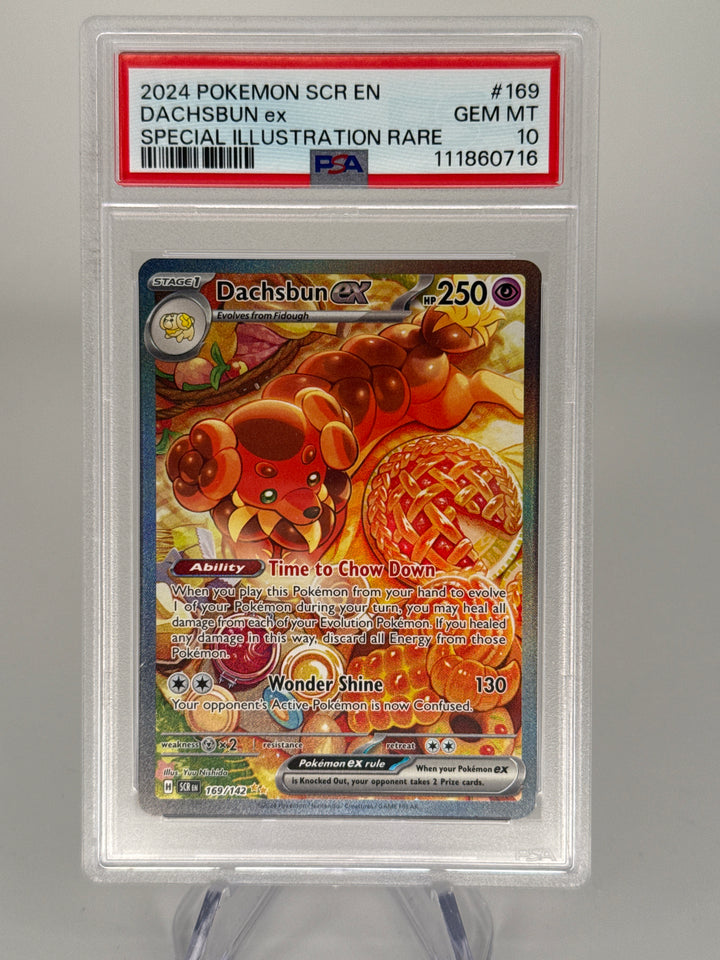 Pokemon TCG 2024 Dachsbun EX Stellar Crown Full Art Special Illustration Rare, 169/142, PSA 10 Gem Mint