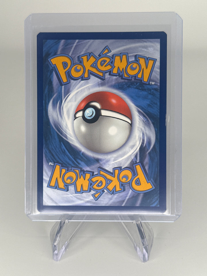 Pokemon TCG 2023 Turtwig Crown Zenith Galarian Gallery Holo, GG31/GG70