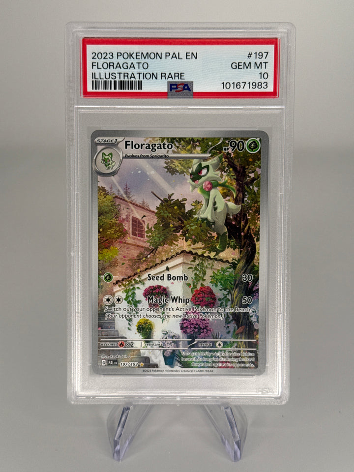 Pokemon TCG 2023 Floragato Paldea Evolved Illustration Rare, 197/193, PSA 10 Gem Mint