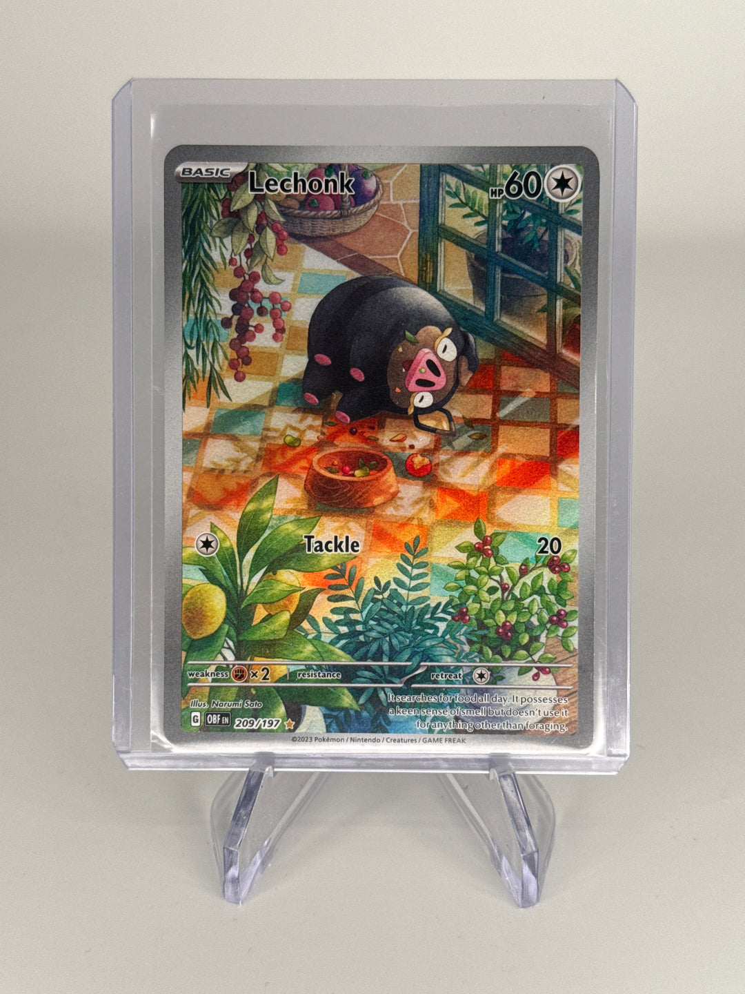 Pokemon TCG 2023 Lechonk Obsidian Flames Full Art Illustration Rare, 209/197