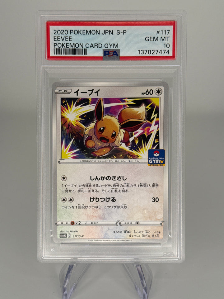 Pokemon TCG 1996 Japanese Eevee Pokemon Card Gym Promo, 117/S-P, PSA 10 Gem Mint