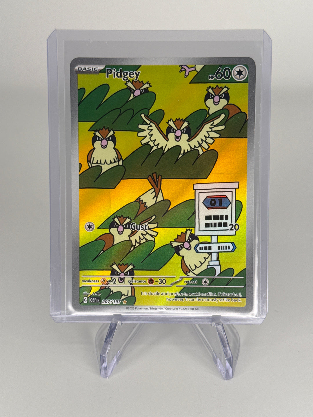 Pokémon TCG 2023 Pidgey Obsidian Flames Full Art Illustration Rare, 207/197