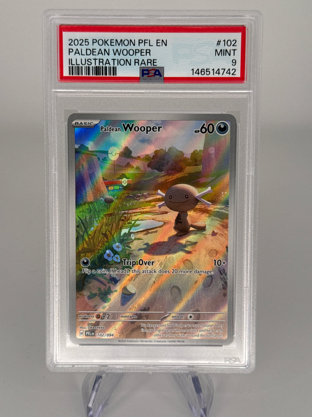 Pokemon TCG 2025 Paldean Wooper Phantasmal Flames Illustration Rare, 102/094, PSA 9 Mint