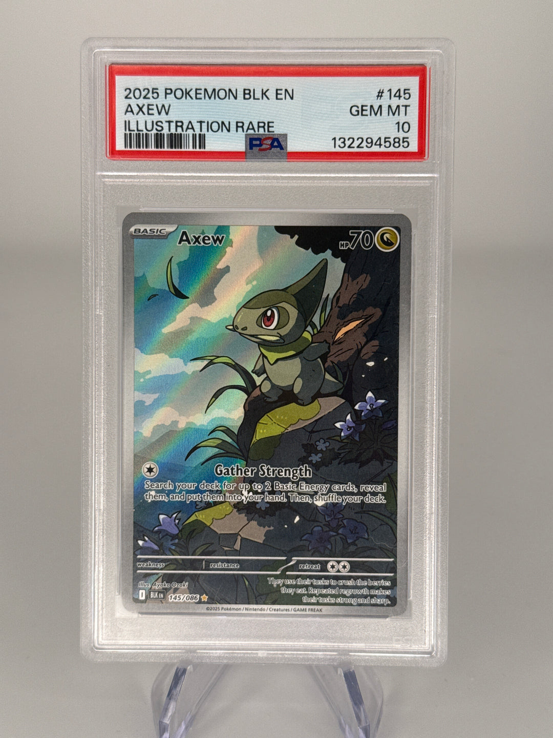 Pokemon TCG 2025 Axew Black Bolt Full Art Illustration Rare, 145/086, PSA 10 Gem Mint