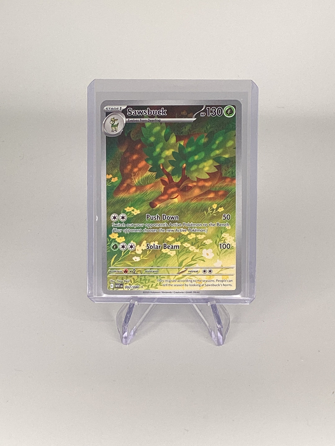 Pokemon TCG 2025 Sawsbuck White Flare Full Art Illustration Rare, 092/086