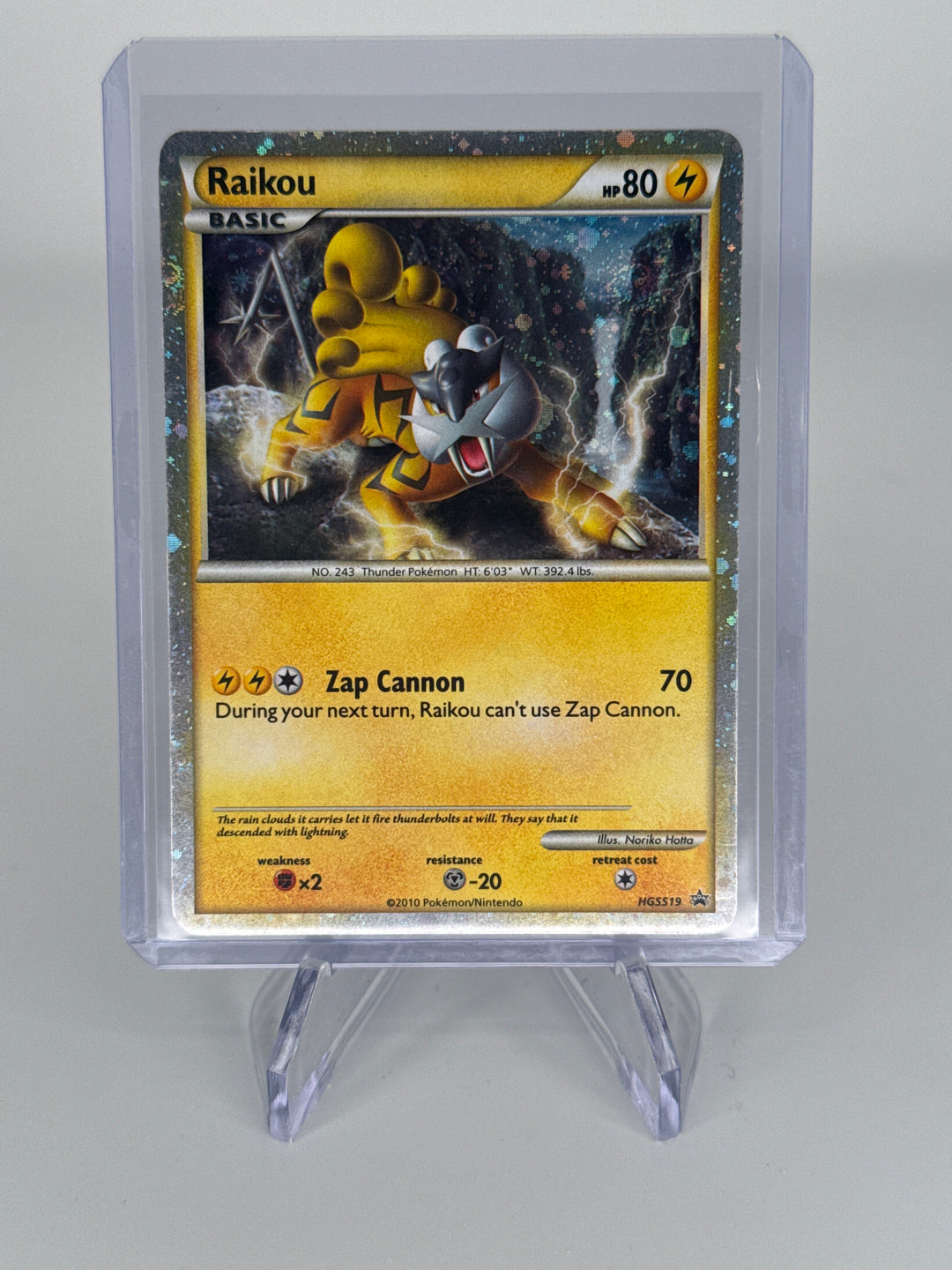Pokemon TCG 2010 Raikou HG & SS Black Star Promo, HGSS19
