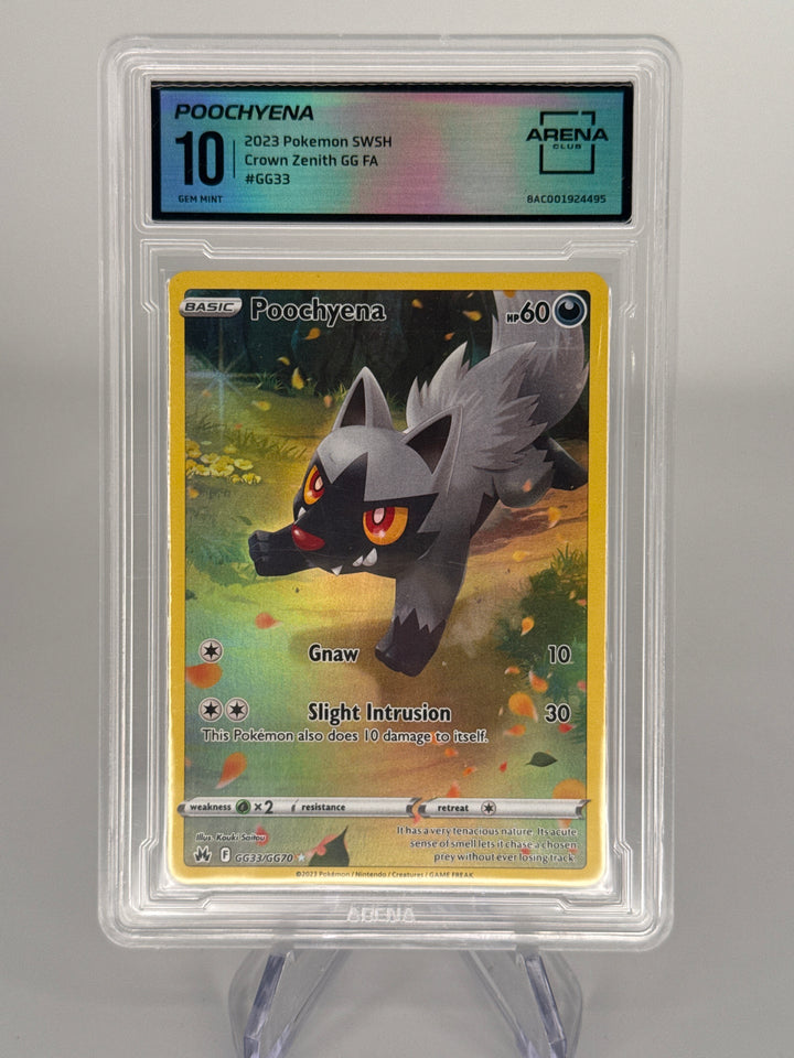 Pokemon TCG 2023 Poochyena Crown Zenith Galarian Gallery Holo, GG33/GG70, Arena Club 10 Gem Mint