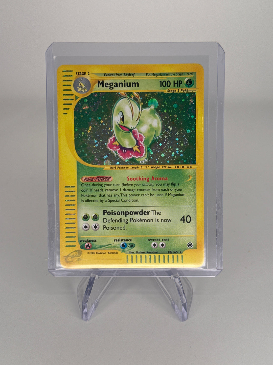 Pokemon TCG 2002 Meganium Expedition Holo, 18/165